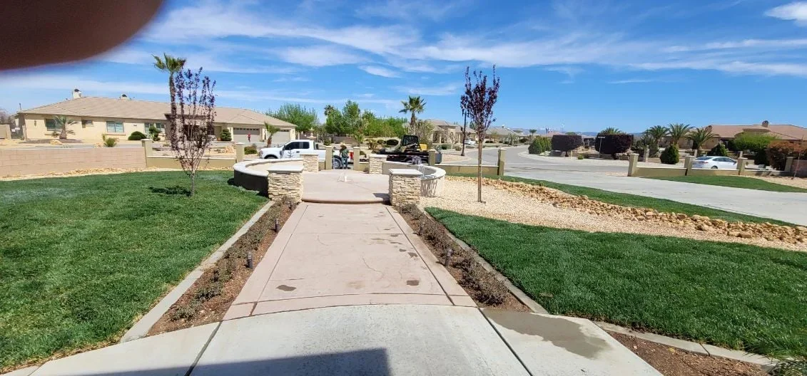 Newly installed sod lawn with rock borders, concrete walkway, and ornamental plantings in desert landscape