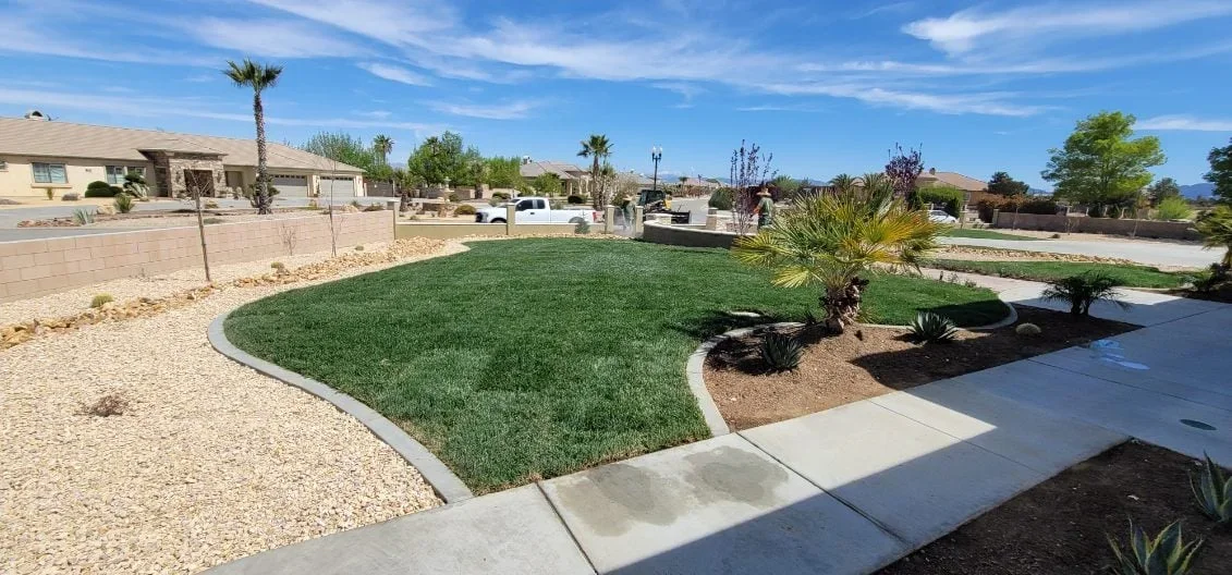 Curved lawn with concrete edging, desert plants, palms, and rock mulch in residential yard